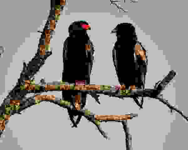 1-DSC08604-002