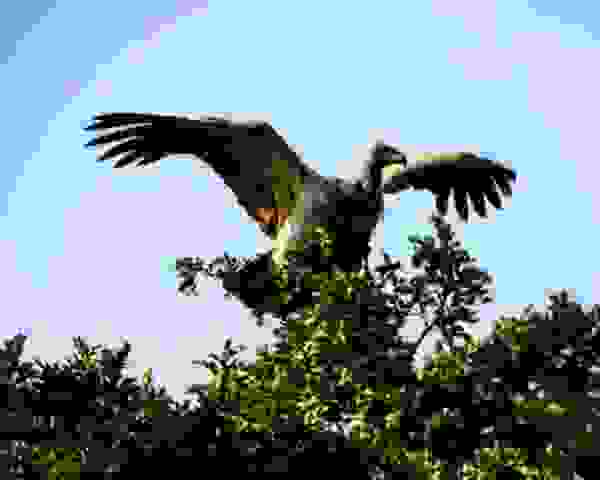 1-DSC08629