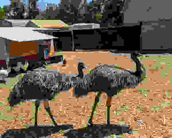 1_PXL_20210612_1940467682