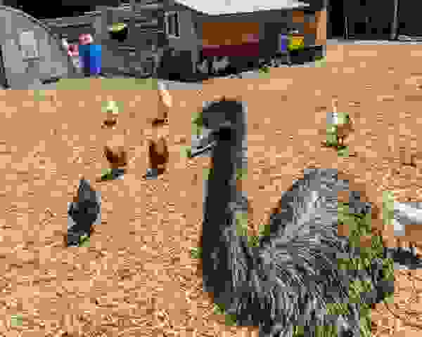 1_PXL_20210612_194117484