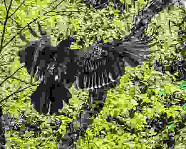 PXL_20220425_1146210593