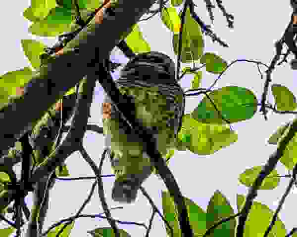PXL_20221110_0359210823