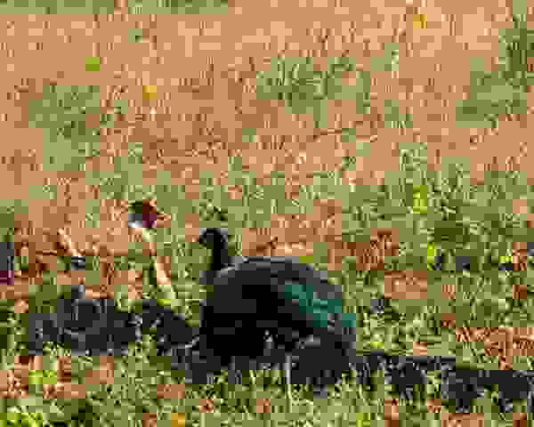 PXL_20221113_015833111