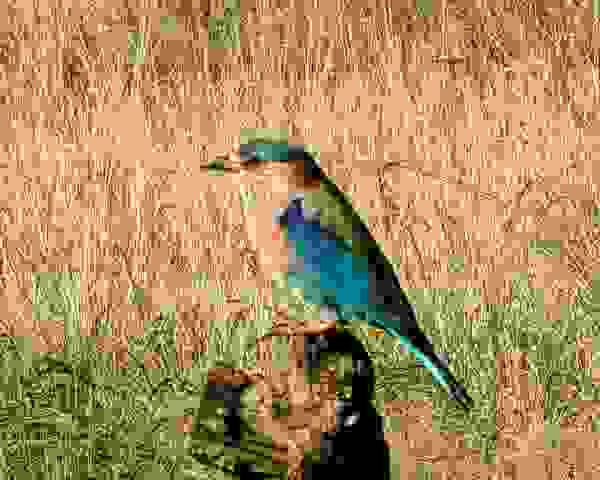 PXL_20221113_0316554192