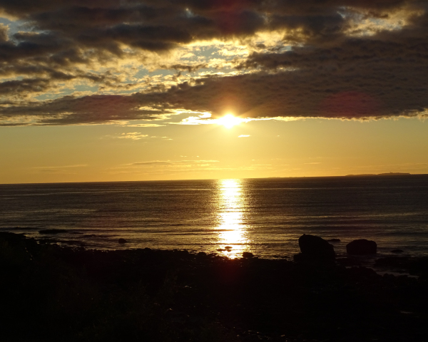 DSC06310-1