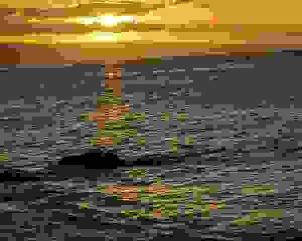 PXL_20220203_040815540