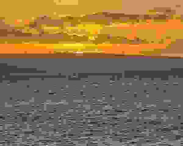 PXL_20220203_041330951