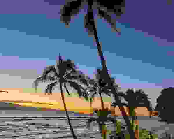 PXL_20220204_044330895