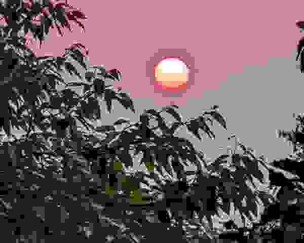 PXL_20221118_1115439272