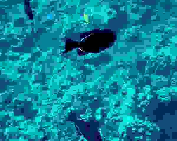 P2030599