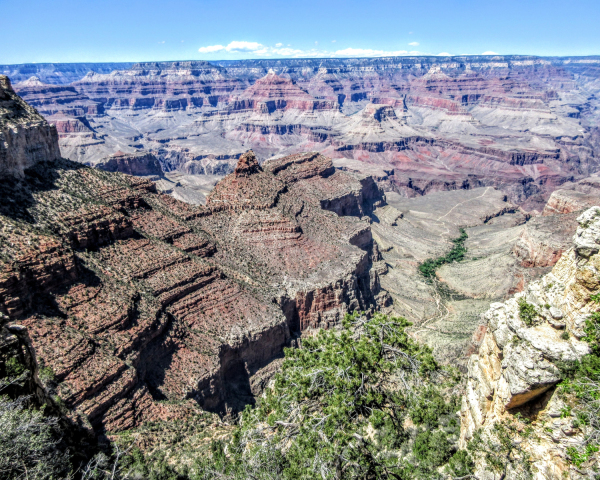 IMG_0085-1-1
